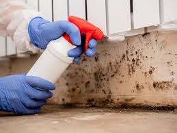 Mold Removal & Remediation